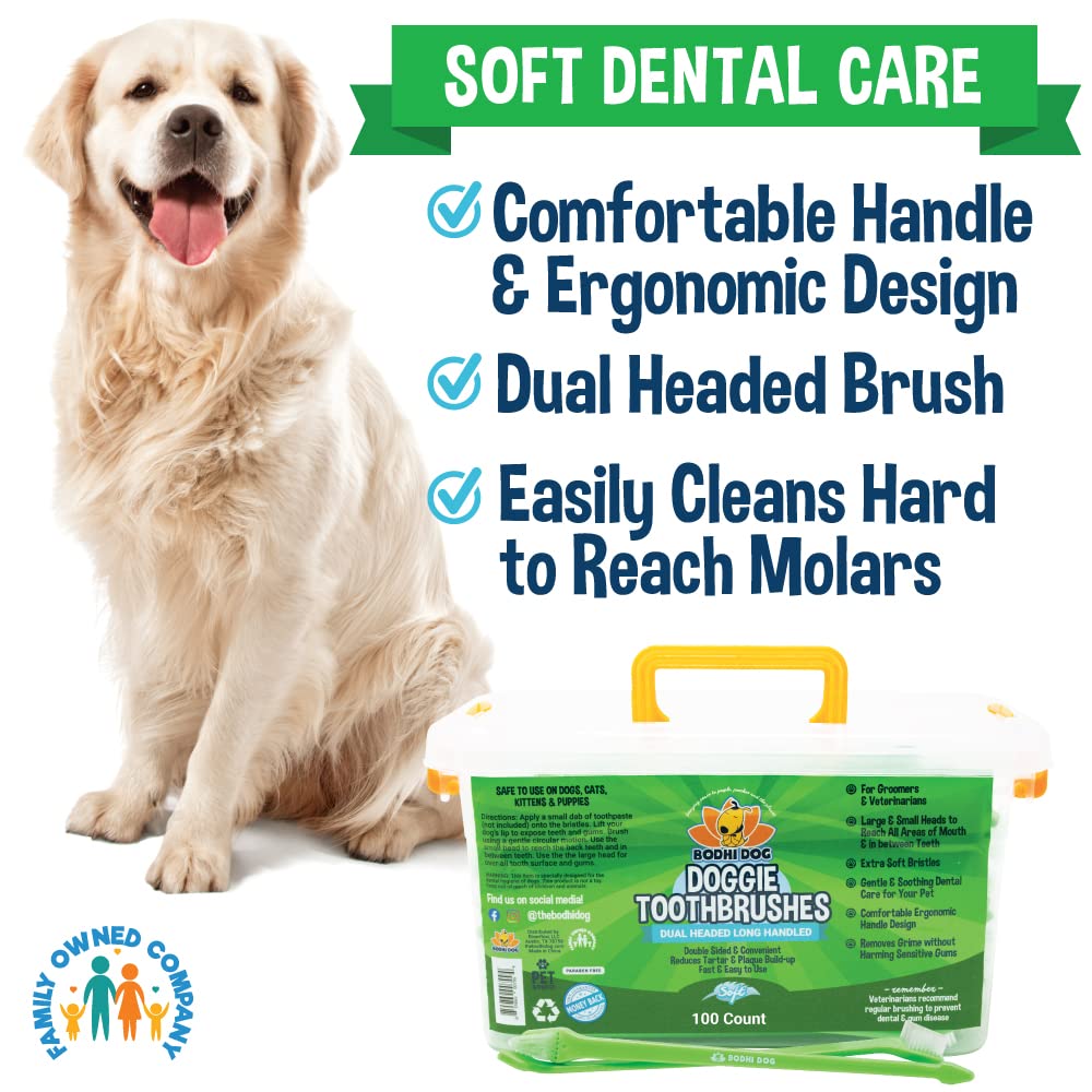Bodhi Dog toothbrush packaging shows premium USA-made product.