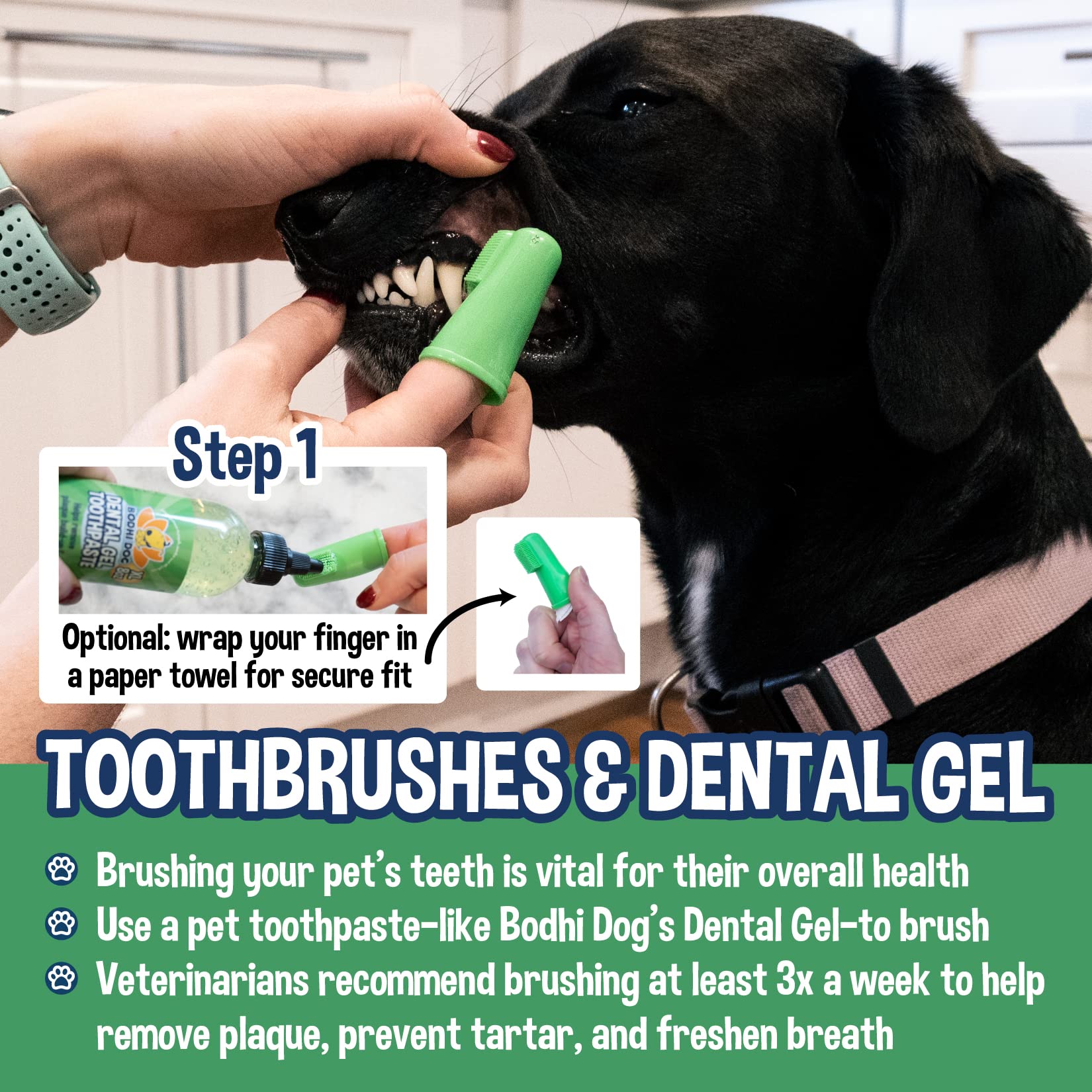 Bodhi Dog finger brush container highlights stay-fresh lid for storage.