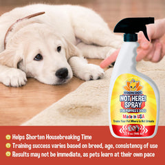 Bodhi Dog Not Here! Spray applied to a soiled area after cleaning.