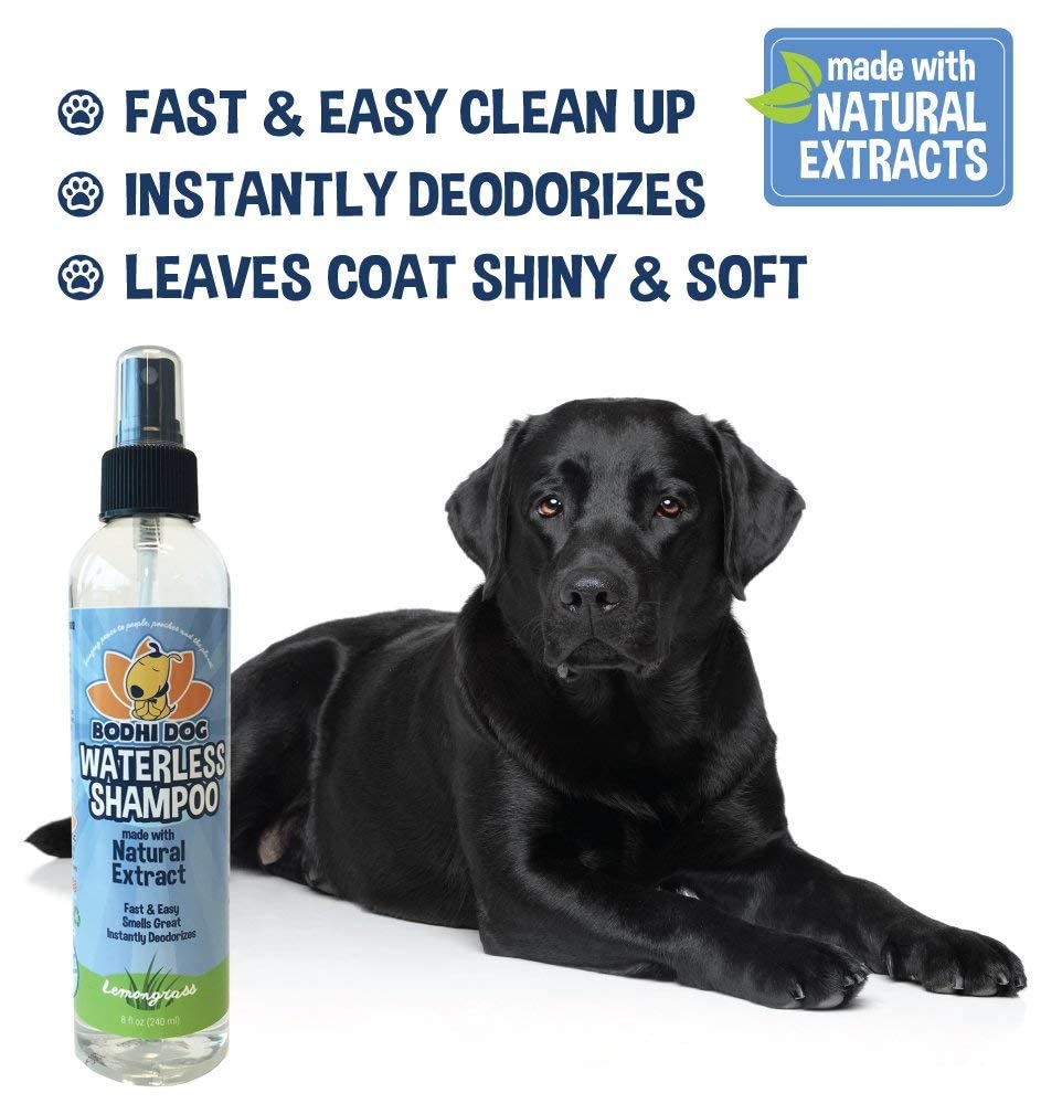 Bodhi Dog bottle with Made in USA label for safe production.