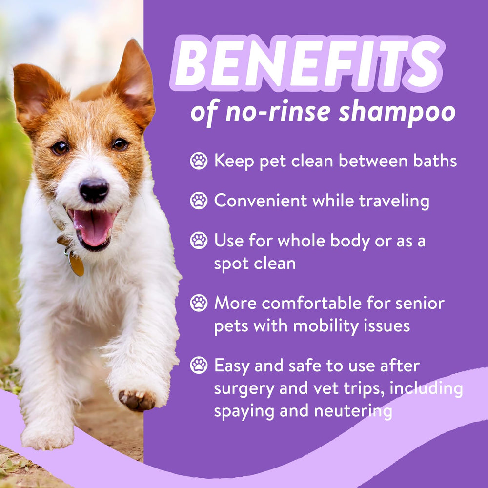 Bodhi Dog Waterless Shampoo packaging from USA highlighting eco-friendly origin.