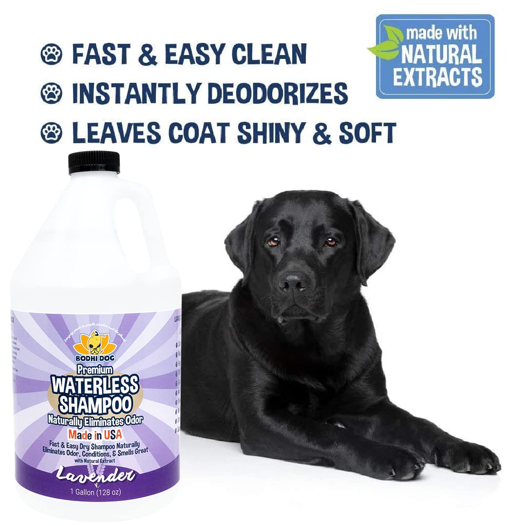 Bodhi Dog Waterless Shampoo bottle applied to coat yields soft, shiny fur