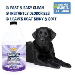 Bodhi Dog Waterless Shampoo bottle applied to coat yields soft, shiny fur