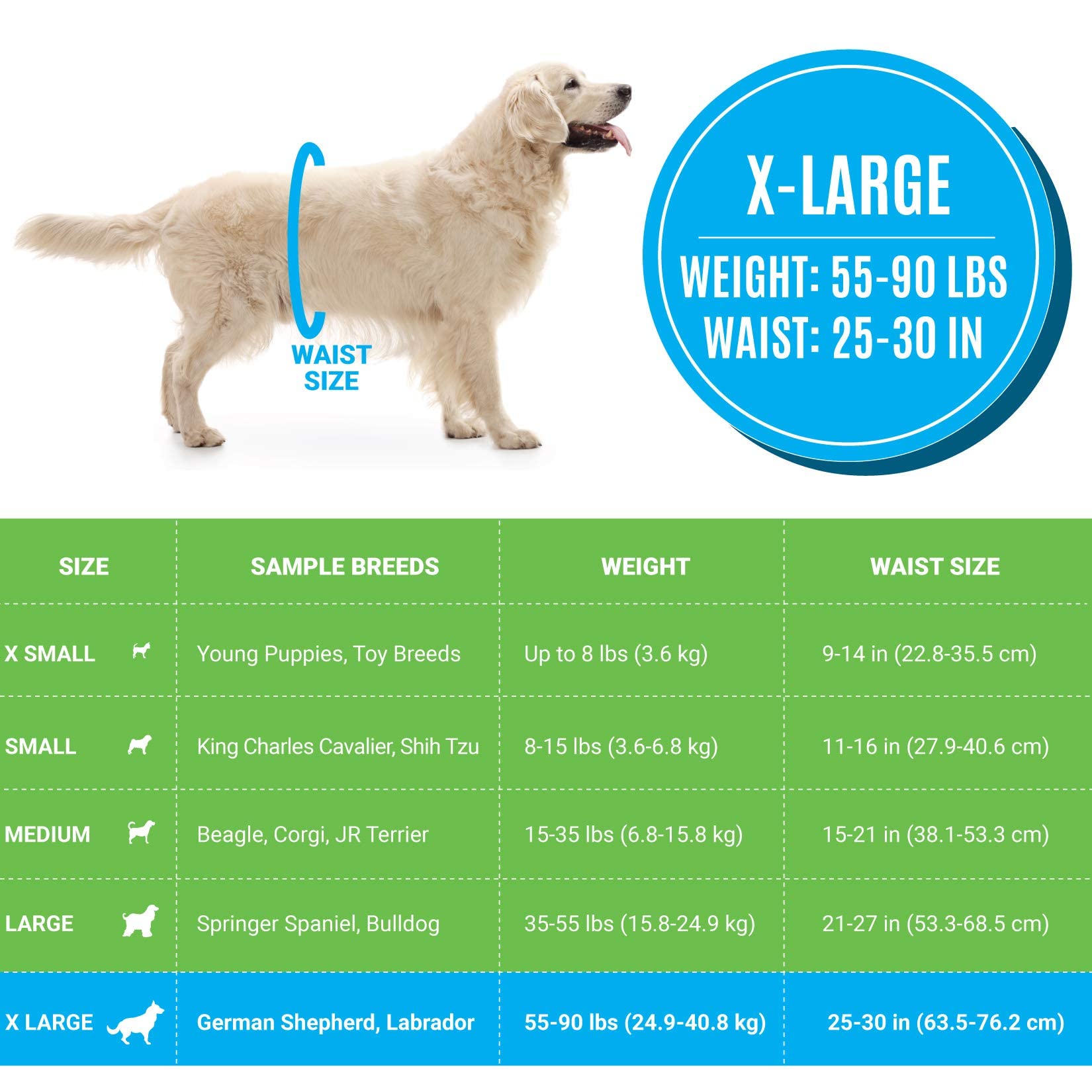 Bodhi Dog wetness indicator stripe shows when diaper needs changing