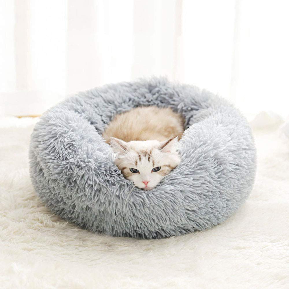 Cama Bodiseint para gato dormido en cojín redondo.