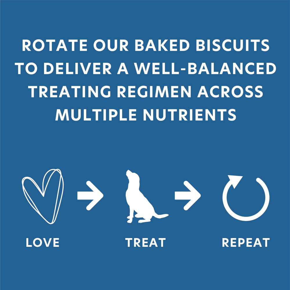 Body and Soul daily-treat rotation visual promotes variety for balanced snacks.
