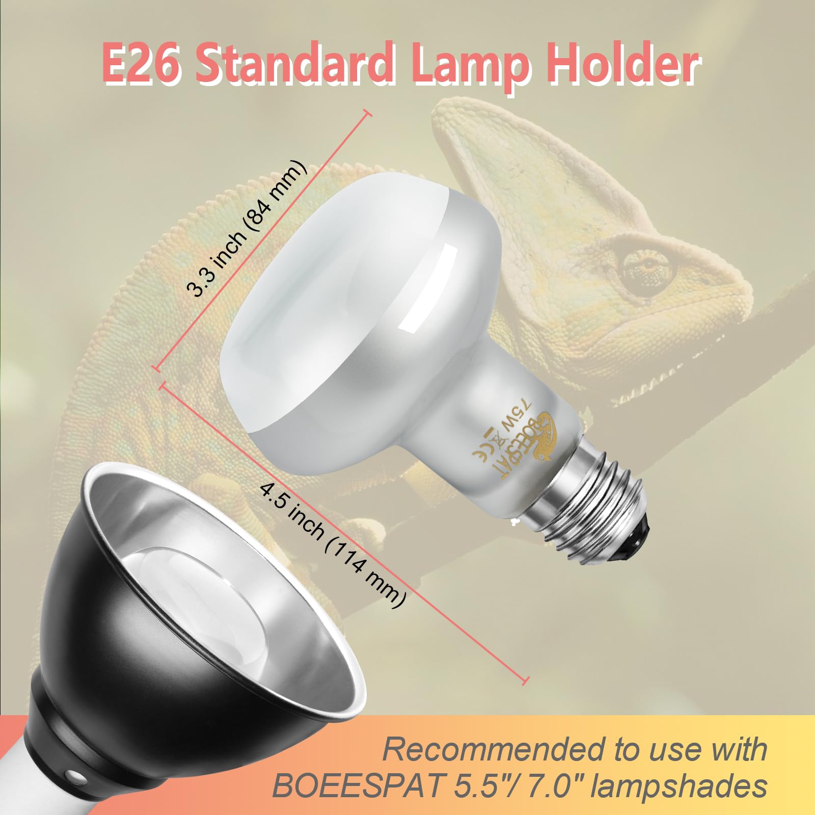 BOEESPAT Intense 75W UVA Daylight Heat Lamp Bulb enhances bearded dragon habitat and appetite.