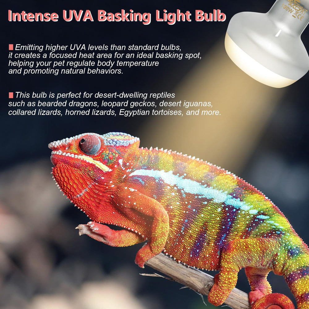 BOEESPAT Intense 75W UVA Daylight Heat Lamp Bulb over desert-dwelling reptiles supports temperature regulation.