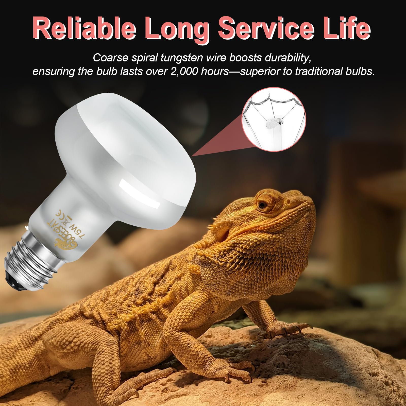 BOEESPAT Intense 75W UVA Daylight Heat Lamp Bulb—durable glass and filament design for long life.