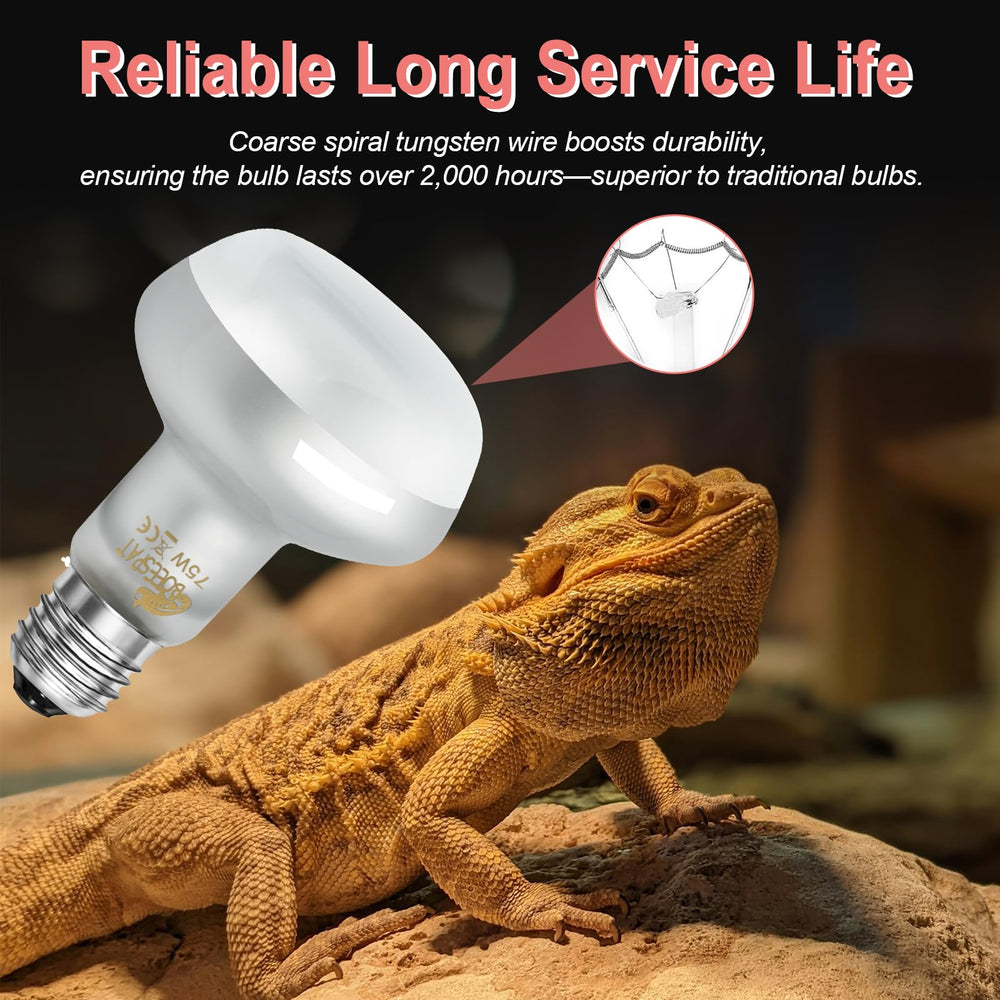 BOEESPAT Intense 75W UVA Daylight Heat Lamp Bulb—durable glass and filament design for long life.