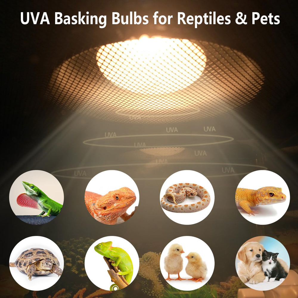BOEESPAT Intense 75W UVA Daylight Heat Lamp Bulb supports regular use for natural reptile behaviors.