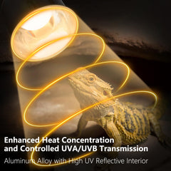 BOEESPAT Reptile Light Fixture in a basking setup for reptiles