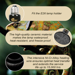 BOEESPAT ceramic heat emitter 100W for bearded dragons supporting comfortable basking and activity