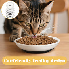 BOHUIZ 6-piece set with paw-pattern and fishbone-pattern bowls enhances mealtime appeal.