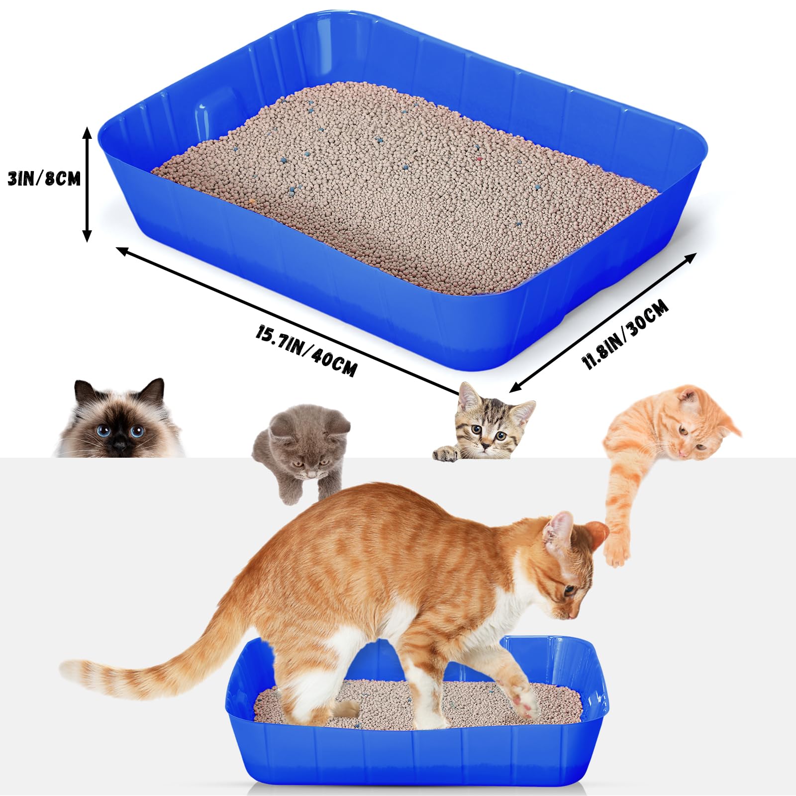 Bokon disposable litter box royal blue top view ready for quick use.