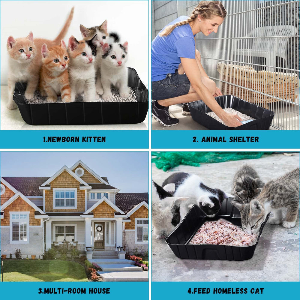 Bokon litter box shown in travel setting, highlighting portability and easy cleanup.