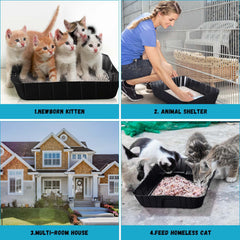 Bokon litter box shown in travel setting, highlighting portability and easy cleanup.