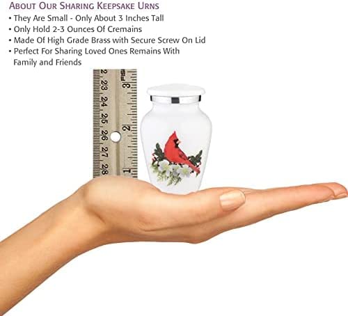 BOLD & DIVINE Mini urn on shelf display highlighting elegant home memorial.