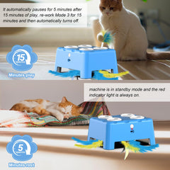 Bolpetizo concealed-mouse-holes cat toy invites spontaneous pounces and hunting-like fun
