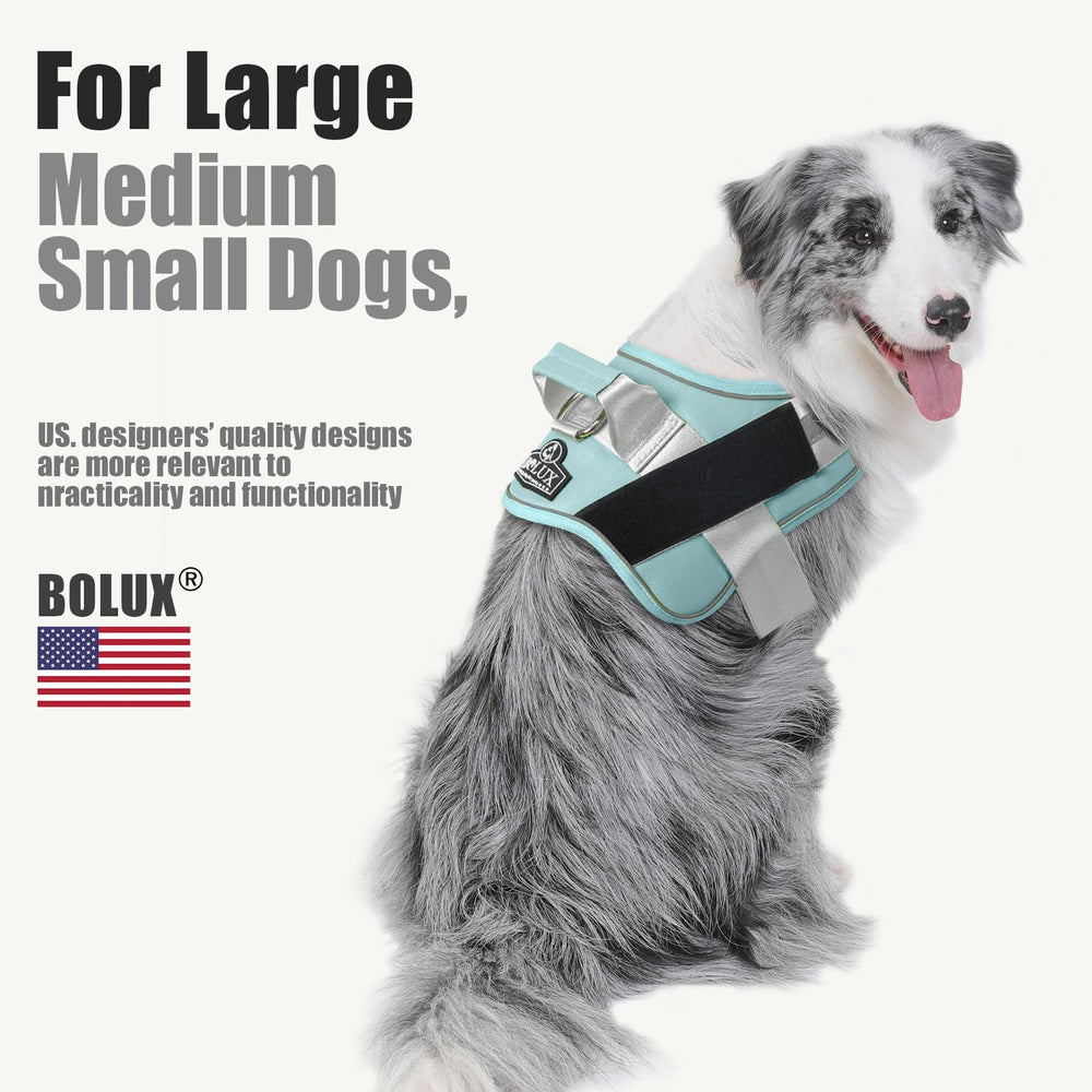 Bolux adjustable chest-strap harness for growing puppies