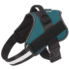 Bolux arnés No-Pull turquesa XS vista frontal para paseo sin tirones