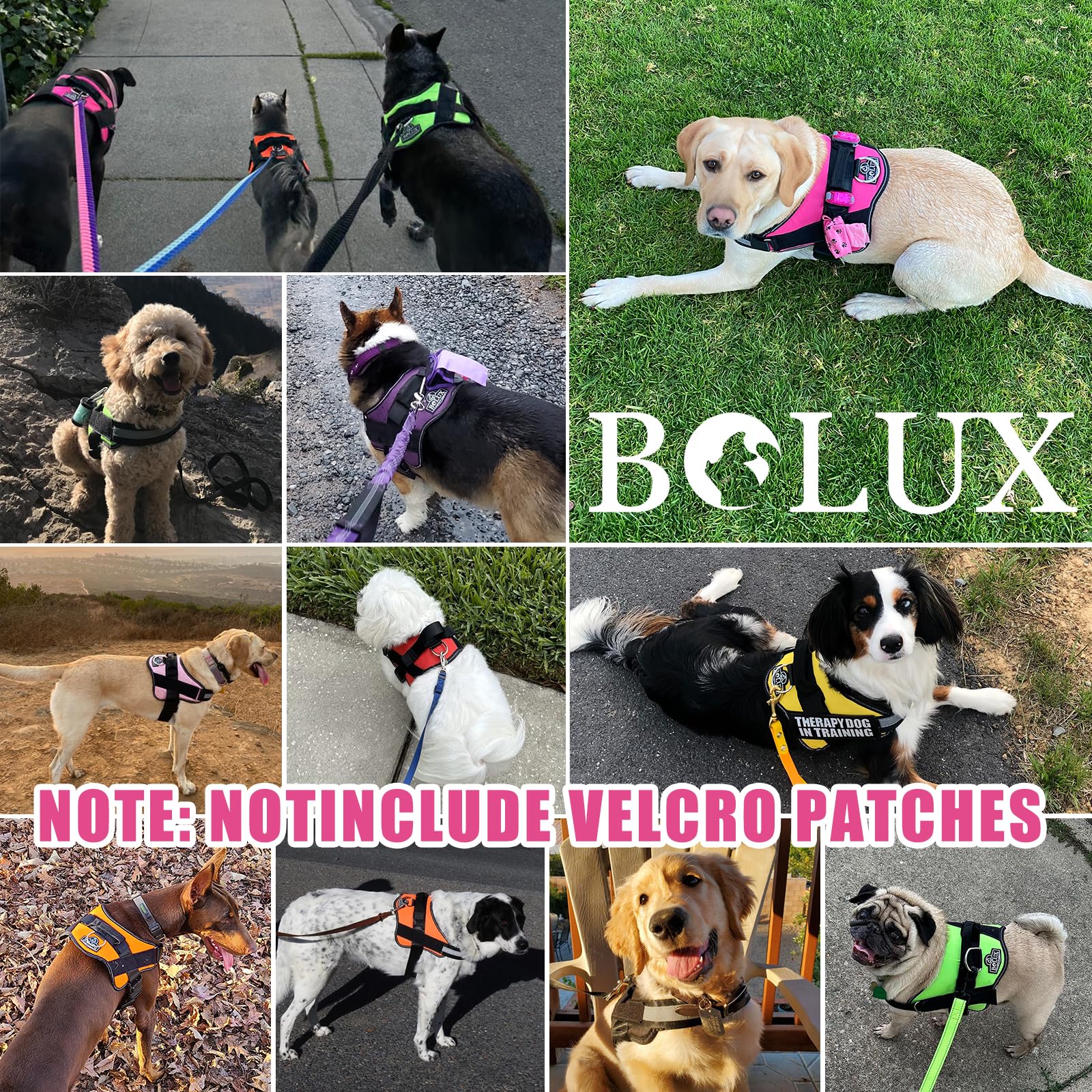 Bolux arnés para caminatas diarias en entornos urbanos.