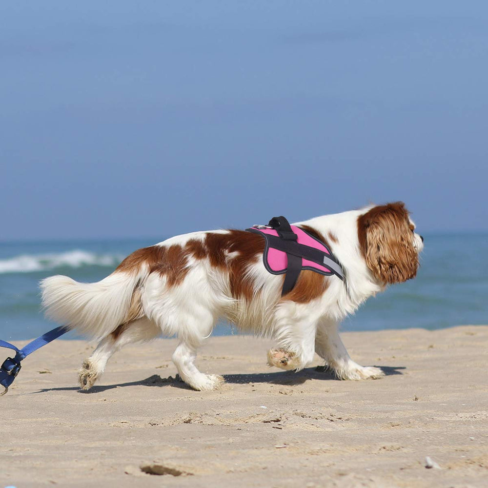 Bolux dog harness adjustable chest strap grows with your dog for comfort