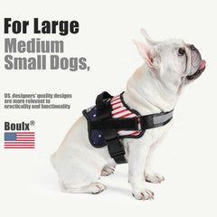 Bolux adjustable chest-strap closeup ensures a comfortable, growing fit