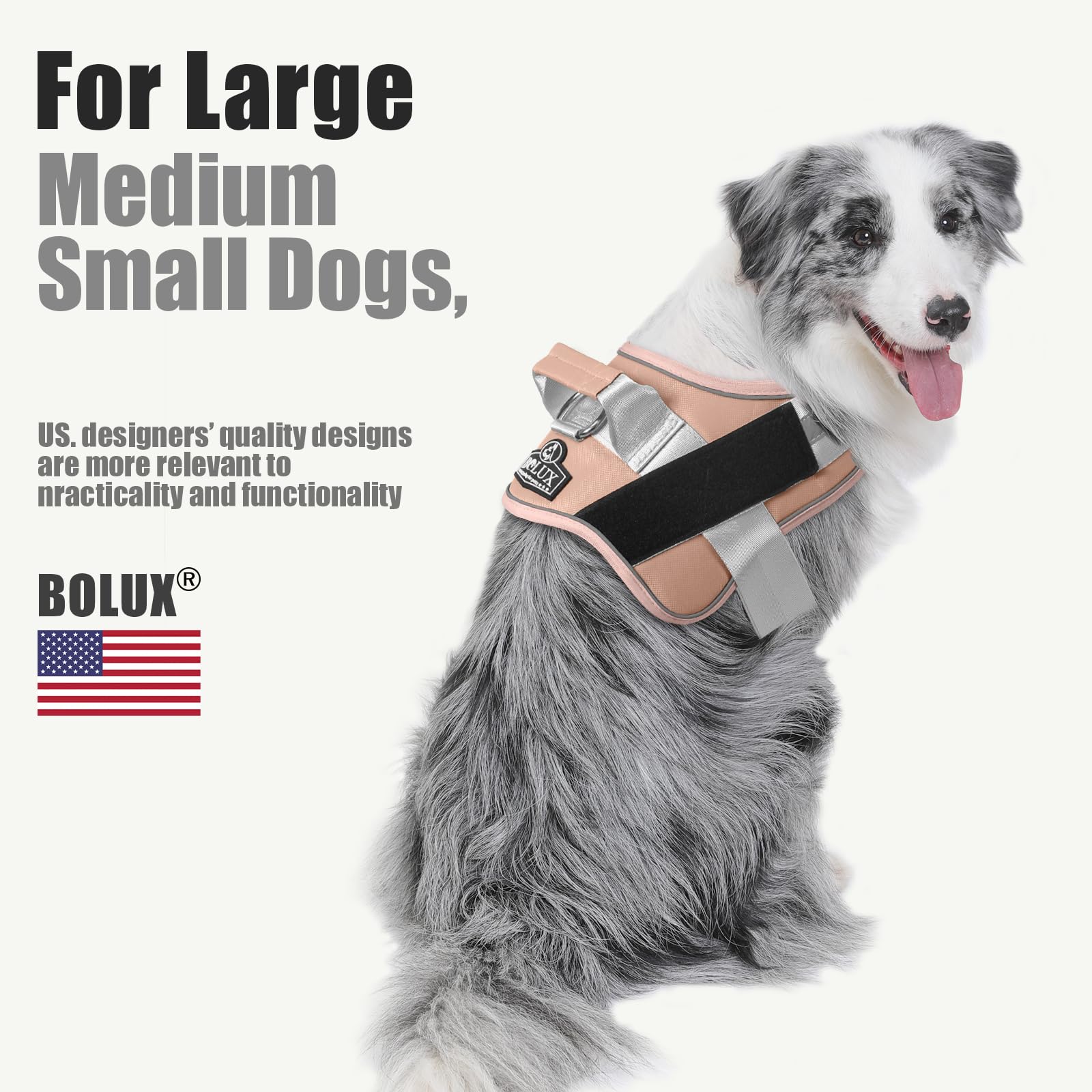 Bolux dog harness includes D-ring leash attachment for versatile walking setups.
