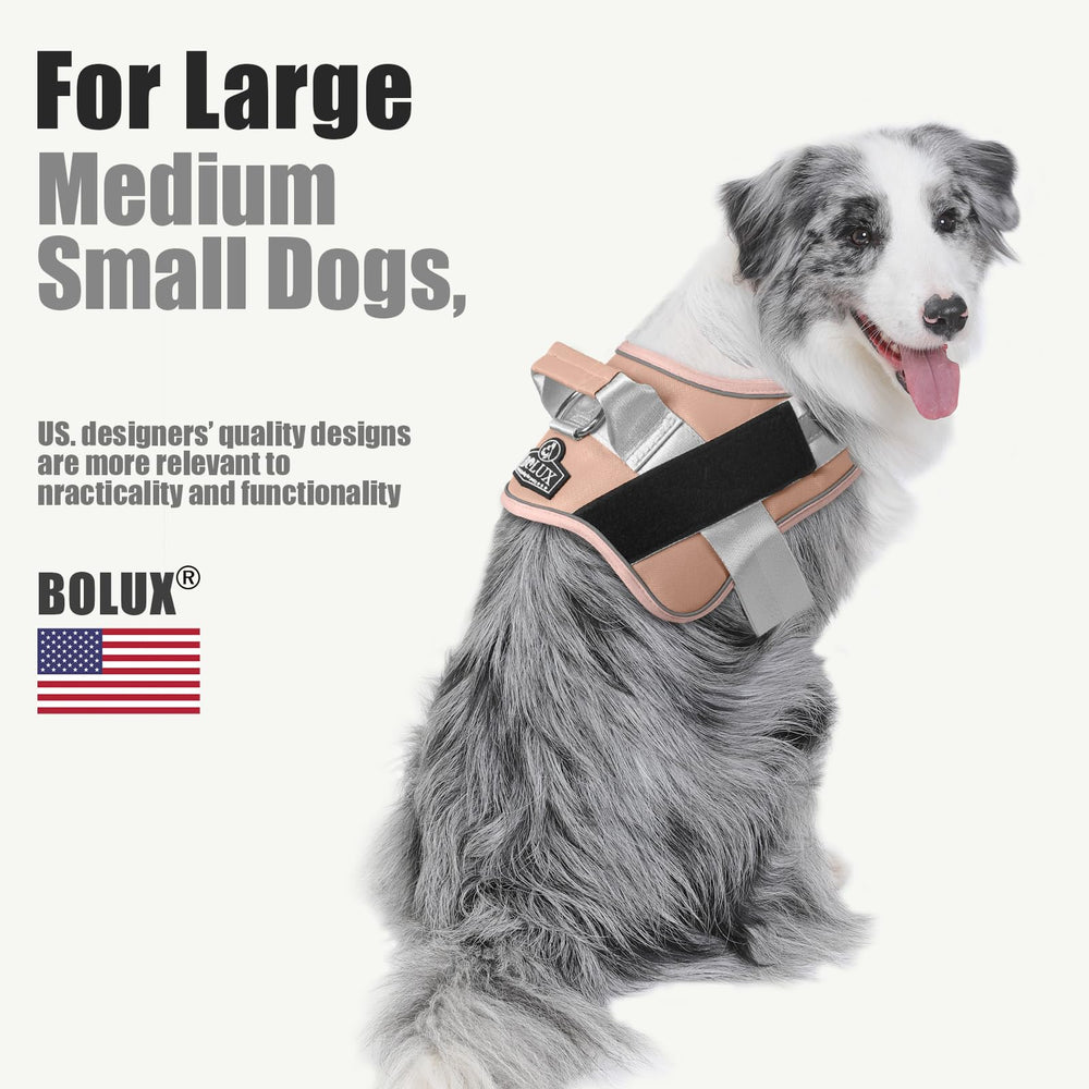 Bolux dog harness includes D-ring leash attachment for versatile walking setups.