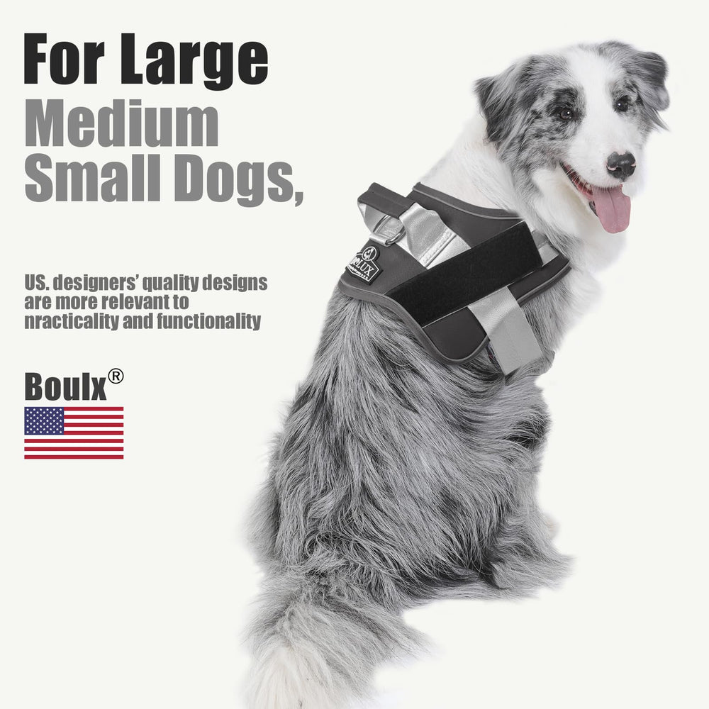 Bolux D-ring leash attachment supports versatile walking and training.