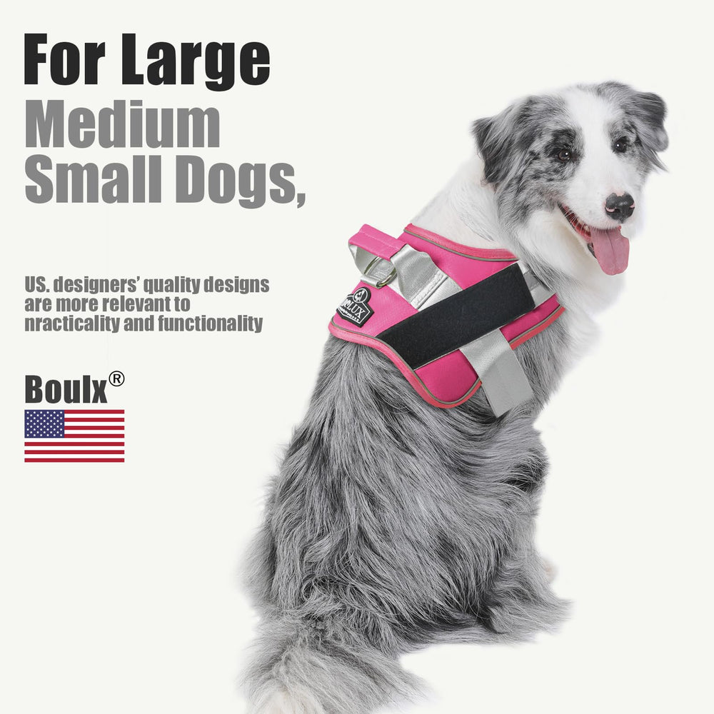 Bolux harness with adjustable chest strap for growing puppy fit.