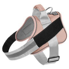Bolux dog harness with no-pull reflective design supports calm walks in low light.