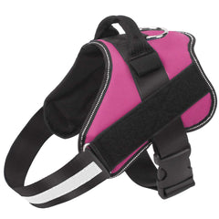 Bolux dog harness in rose red on dog reduces pulling during walks