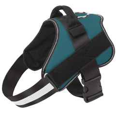 Bolux no-pull turquoise harness front view for comfortable walks