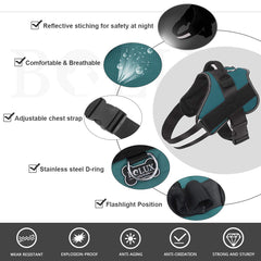 Bolux no-pull turquoise harness side adjustments showing customizable fit