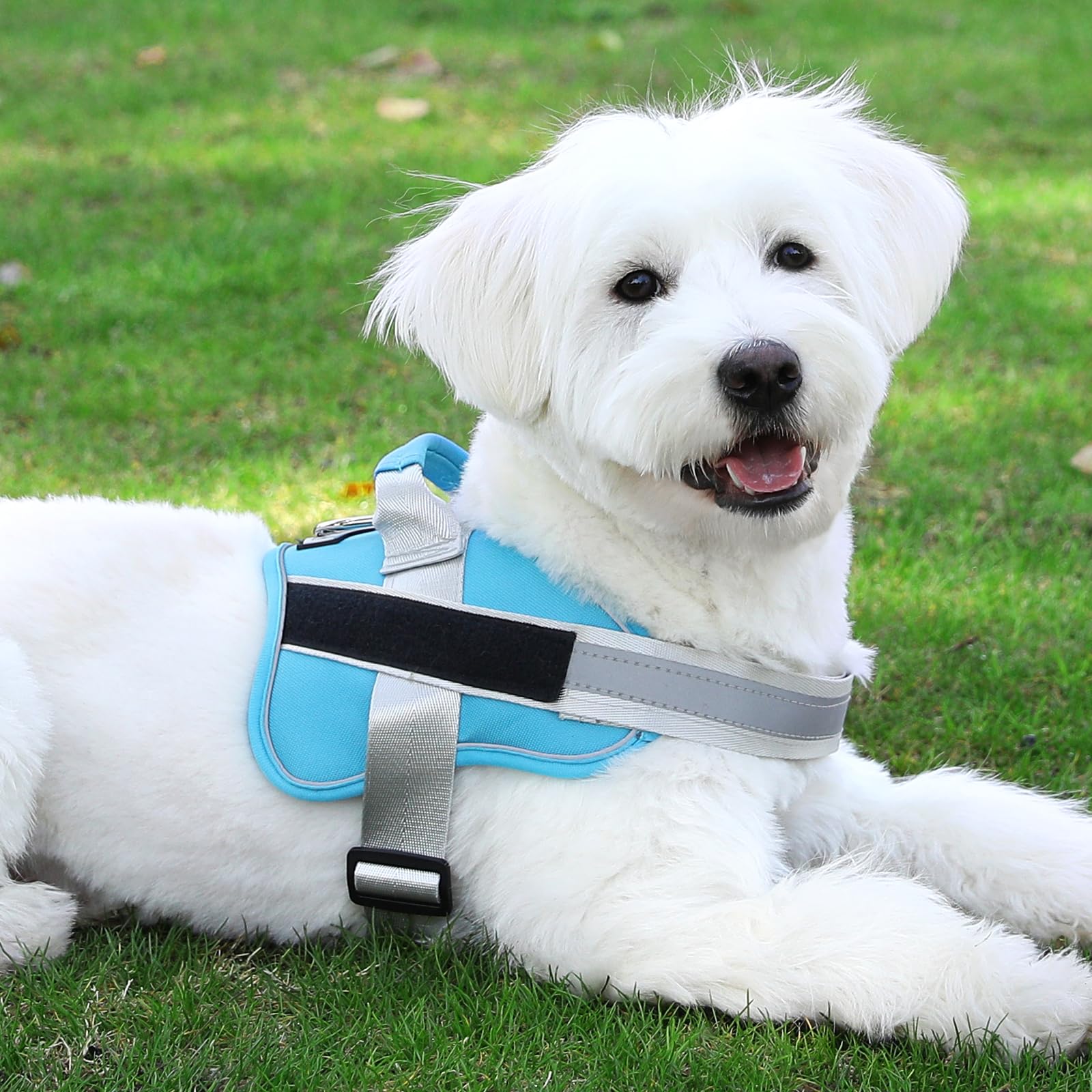 Bolux dog harness OceanicBlue breathable material promotes comfortable all-day wear.