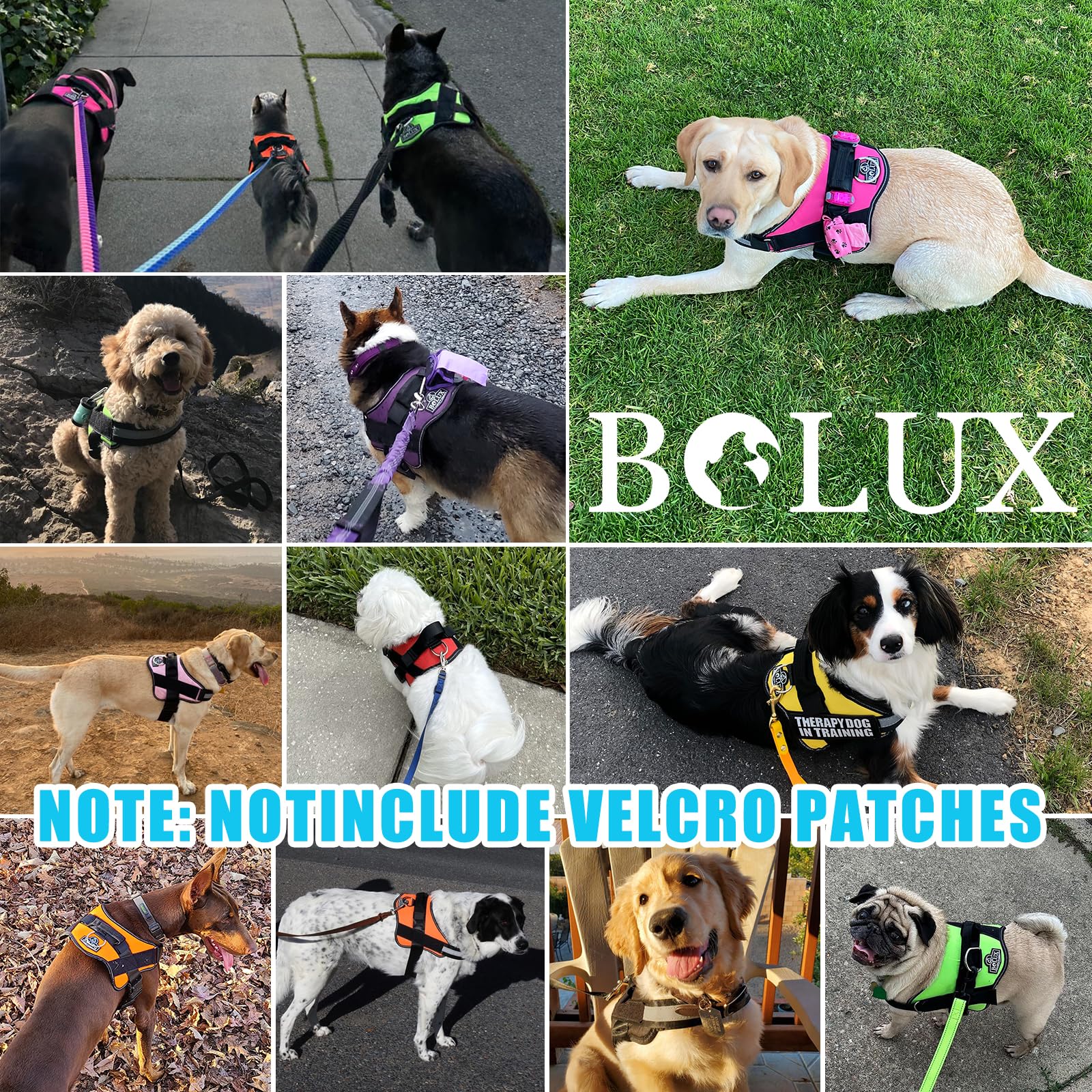 Bolux dog harness OceanicBlue D-ring leash attachment for easy walking control.