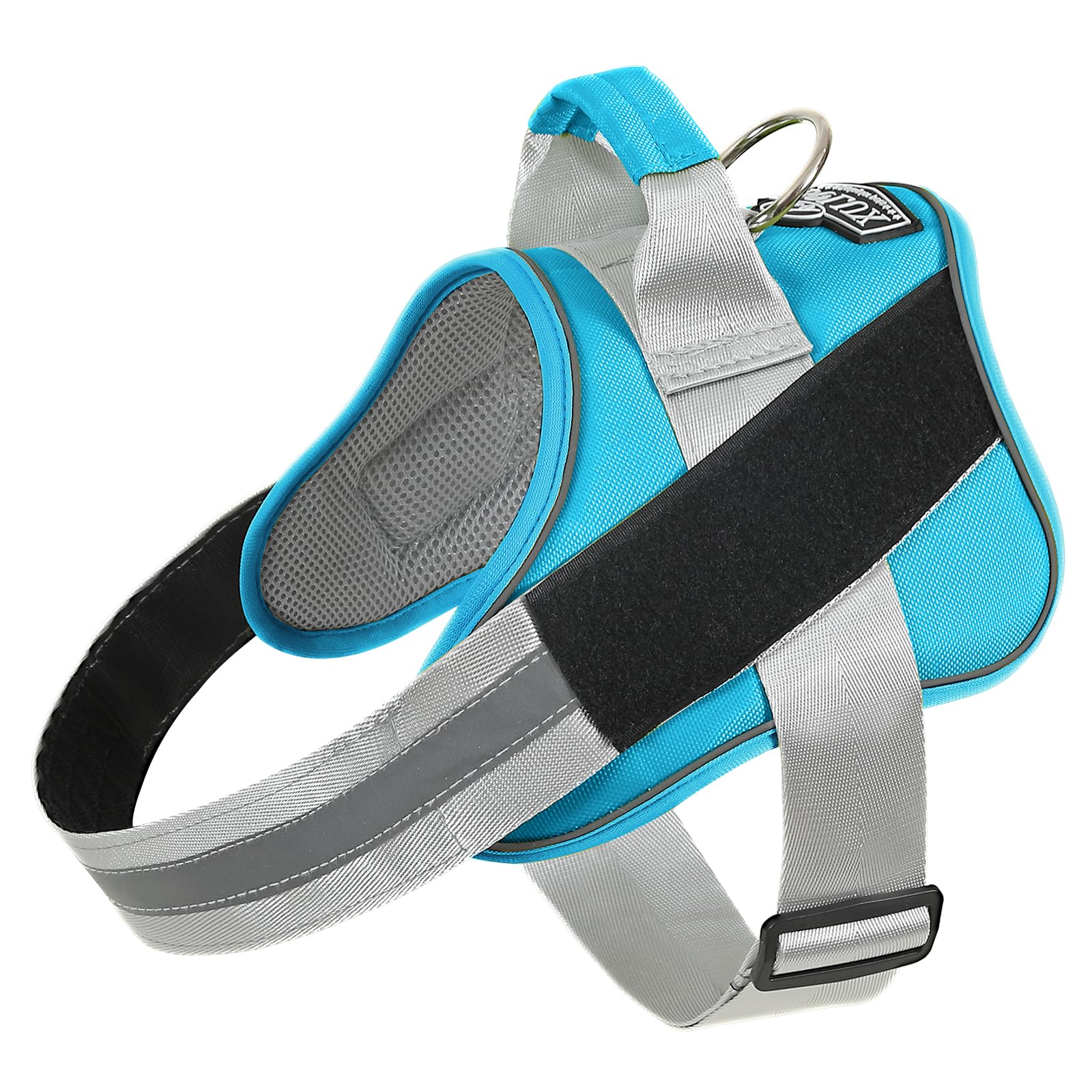 Bolux dog harness OceanicBlue front-fit shows secure, comfortable sizing for small dogs.