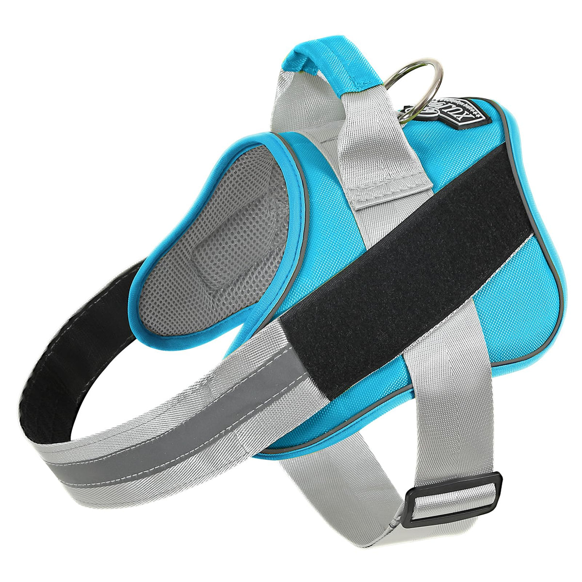 Bolux dog harness OceanicBlue front-fit shows secure, comfortable sizing for small dogs.
