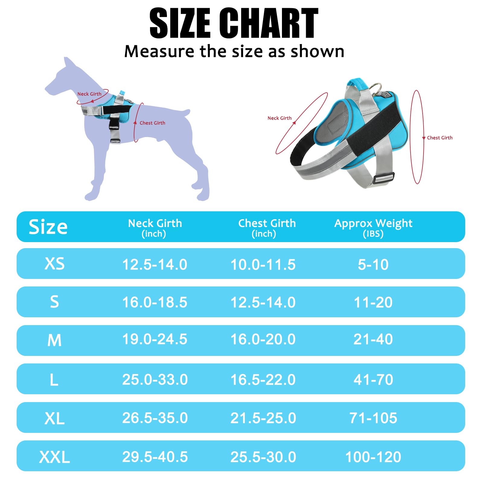 Bolux dog harness OceanicBlue night-visibility keeps dogs seen during evening walks.