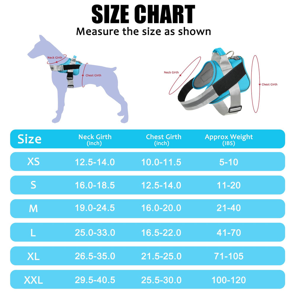 Bolux dog harness OceanicBlue night-visibility keeps dogs seen during evening walks.