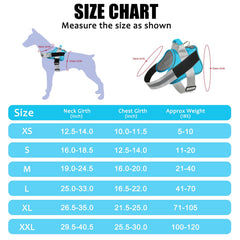 Bolux dog harness OceanicBlue night-visibility keeps dogs seen during evening walks.