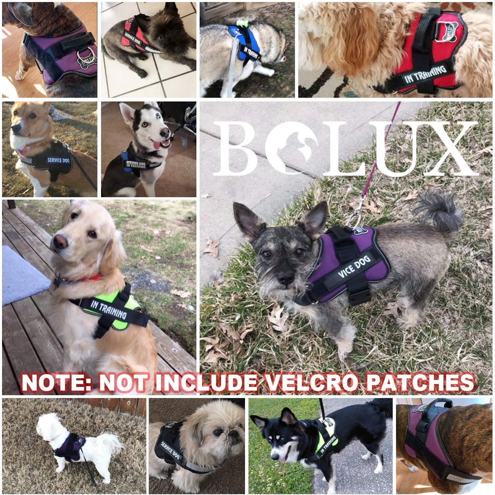 Bolux dog harness pink D-ring attachment facilitates easy leash connection