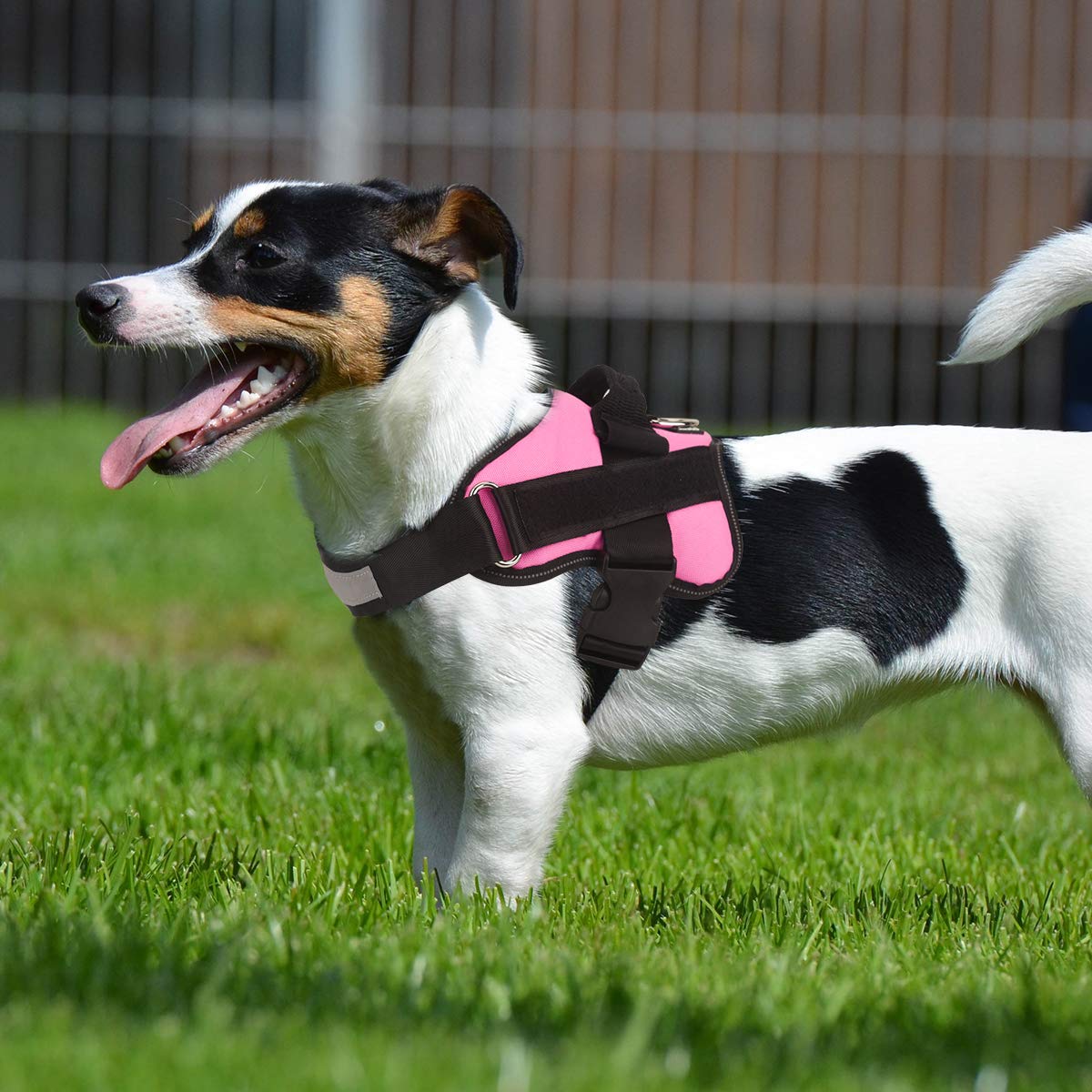 Bolux dog harness pink sturdy nylon handle provides extra control during outings