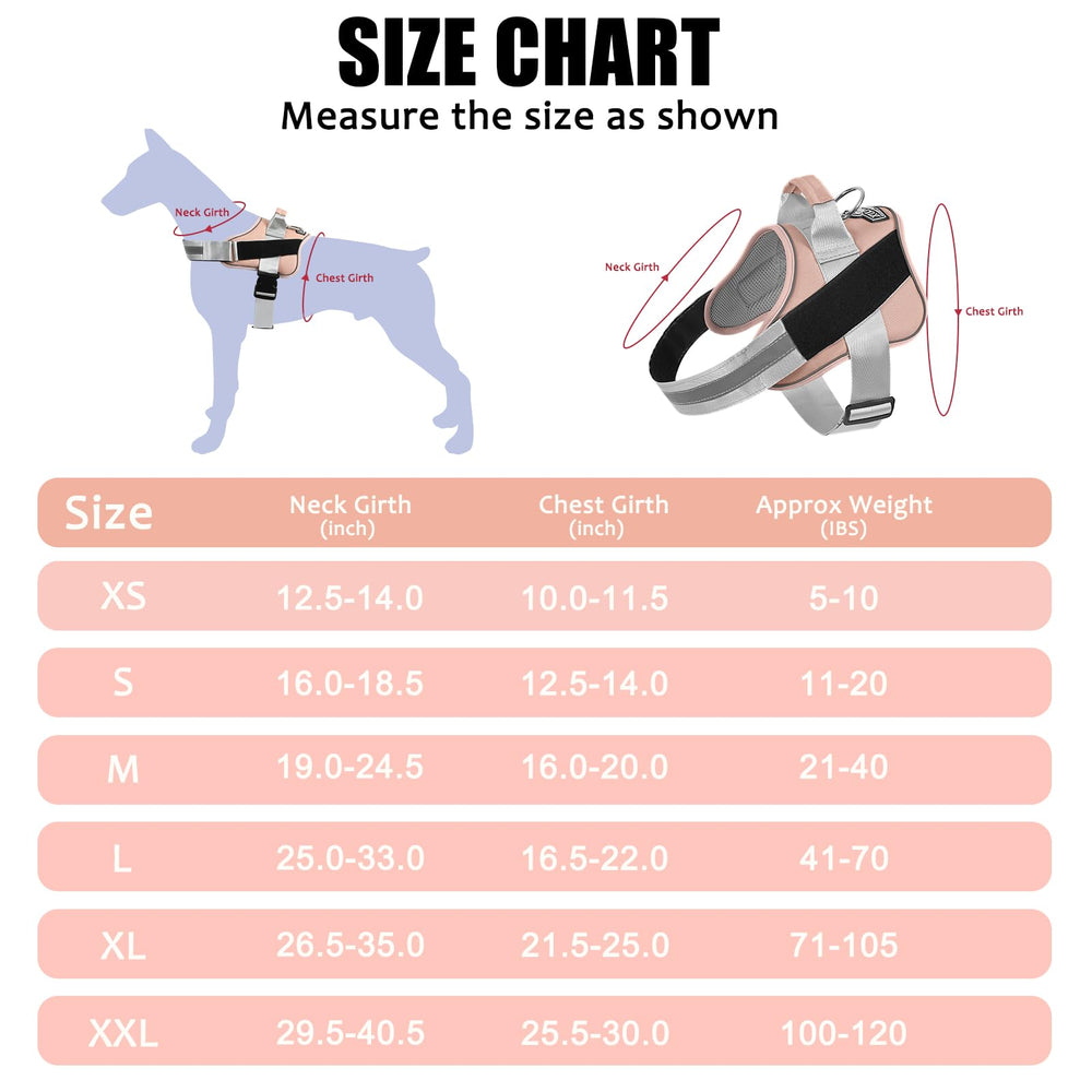 Bolux dog harness reflective straps boost night visibility for safer evening walks.