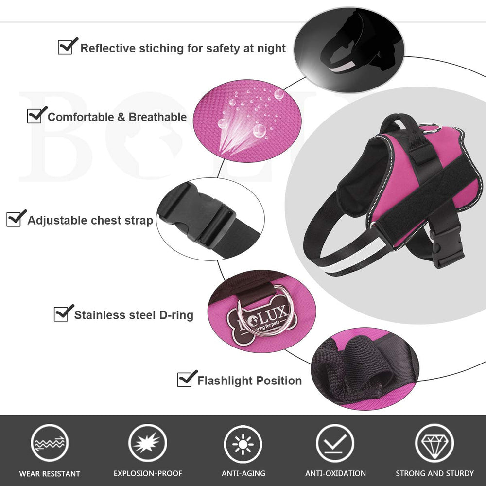 Bolux dog harness reflective straps improve night visibility for safety