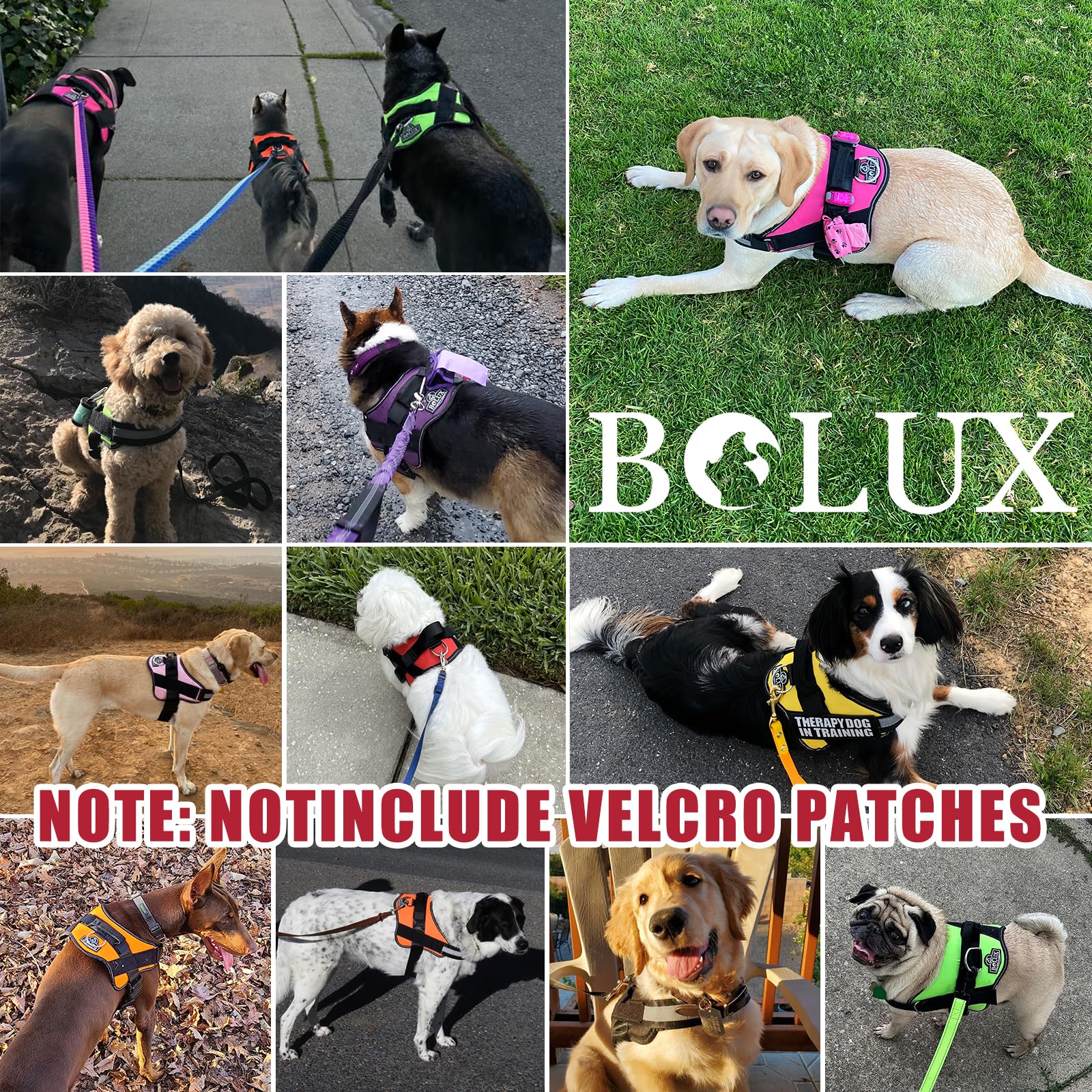 Bolux small-dog XS harness fit emphasizes secure, comfortable everyday use