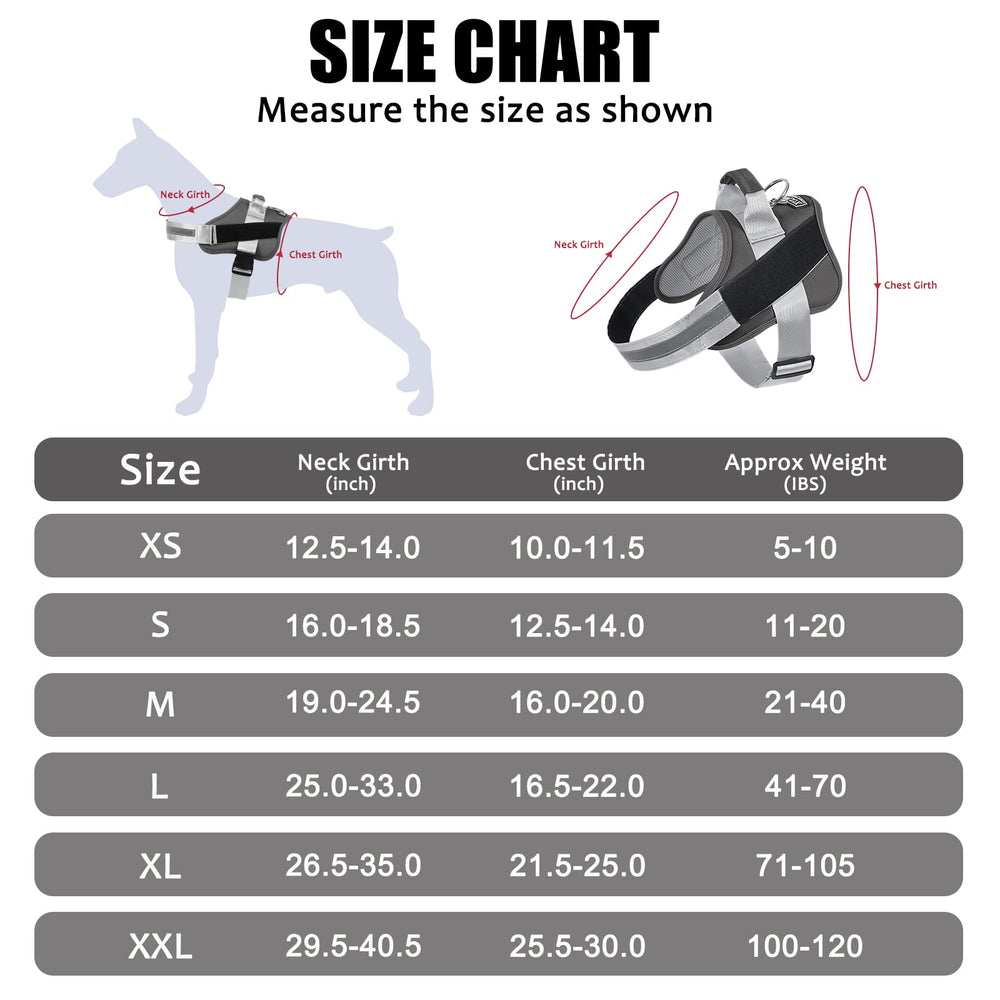 Bolux XS-fit harness for tiny dogs provides lightweight daily comfort.