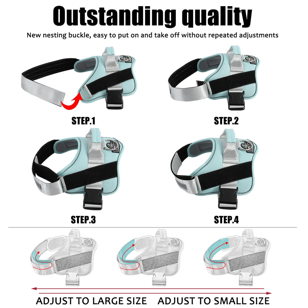 Bolux reflective straps at night for enhanced visibility